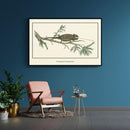 Afrikaanse schilderijen