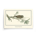 Afrikaanse schilderijen