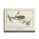 Afrikaanse schilderijen