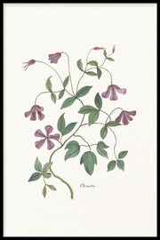 Bloemen poster