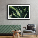 Planten poster