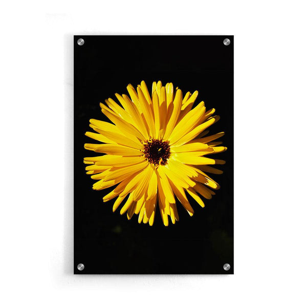 Bloemen poster