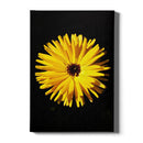 Bloemen poster