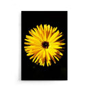 Bloemen poster