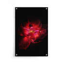 Bloemen poster