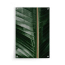 Planten poster