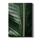 Planten poster