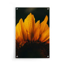 Bloemen poster