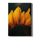 Bloemen poster