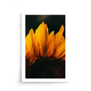 Bloemen poster