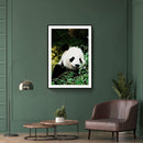Dieren poster