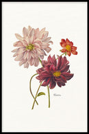 Bloemen poster