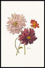 Bloemen poster
