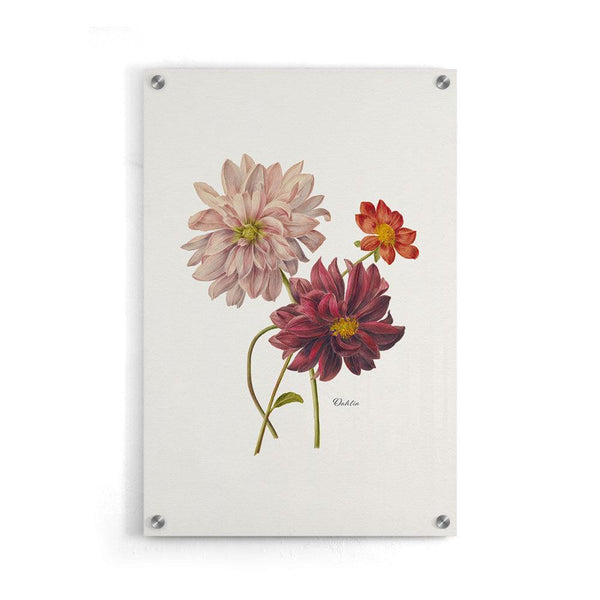 Bloemen poster