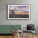 Zonsopgang landschap poster