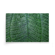 Planten poster
