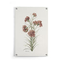 Bloemen poster