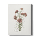 Canvas Dianthus