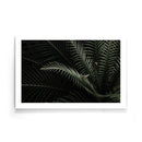 Planten poster