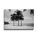 Tropische wanddecoratie