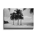 Tropische wanddecoratie