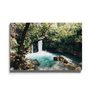 Tropische wanddecoratie