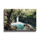 Tropische wanddecoratie