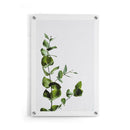 Planten poster