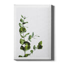 Planten poster