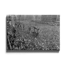 Feyenoord supporters poster