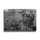 Feyenoord supporters poster