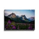 Bloemen gebergte poster