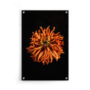 Bloemen poster