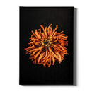 Bloemen poster