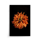 Bloemen poster