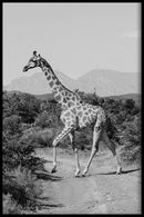 Giraffe poster