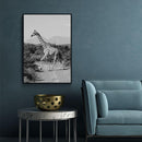 Giraffe poster