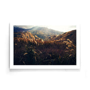 Tarweveld poster