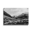 Schapen landschap poster