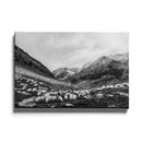 Schapen landschap poster