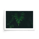 Planten poster