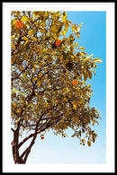 Grow Some Citrus - Walljar