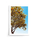 Grow Some Citrus - Walljar