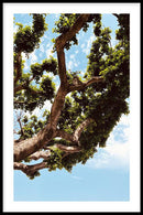 Growing Tree - Walljar