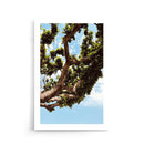 Growing Tree - Walljar