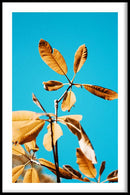 Planten poster