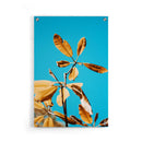 Planten poster