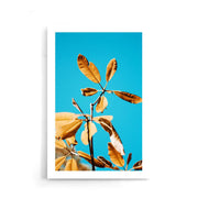 Planten poster