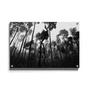 Tropische wanddecoratie