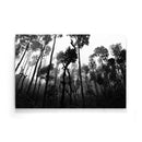 Tropische wanddecoratie